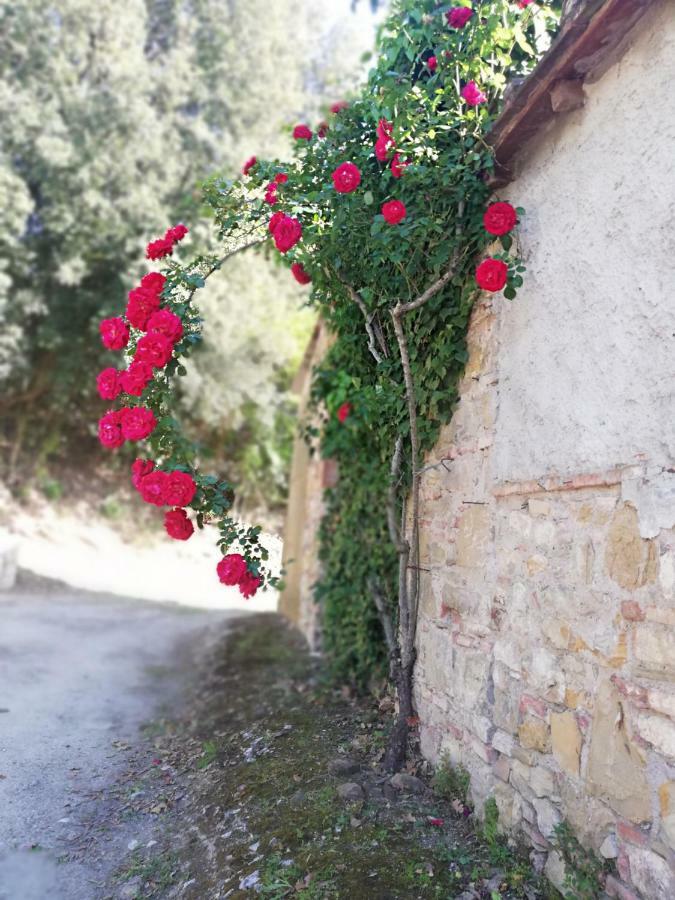 Gasthaus Case Di San Isidoro Impruneta Exterior foto